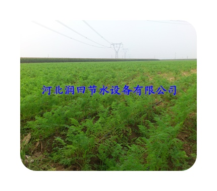 河北廊坊市大田高效节水滴管设备 批发 供应规格