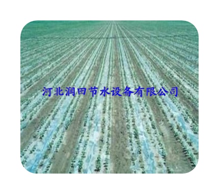 河北平泉县农田PE滴水带高质量 高优惠 高收入