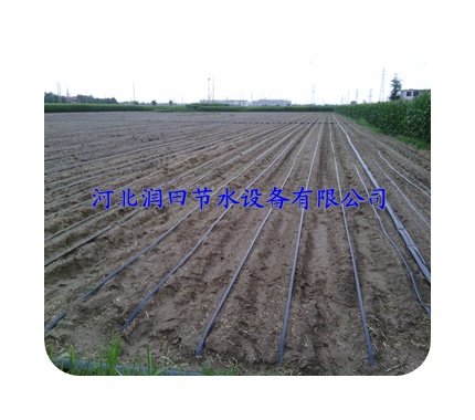 河北沧县【农田瓜果专用塑料滴水带】抗堵塞性能强|工作可靠