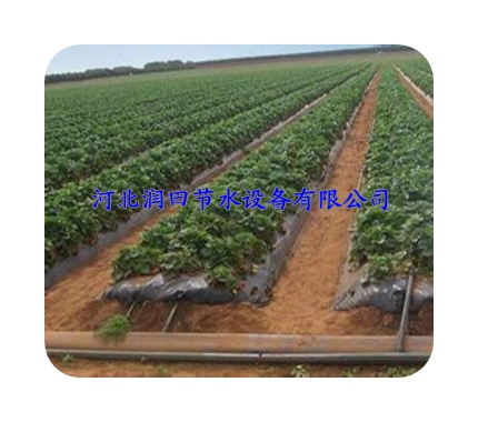 山西朔州市农业滴灌带安装费用低 重量轻 运输方便