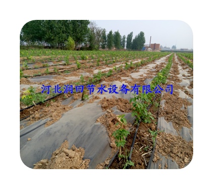 山西阳泉市农田专用塑料滴水管|PE管 咨询热线 欢迎来购