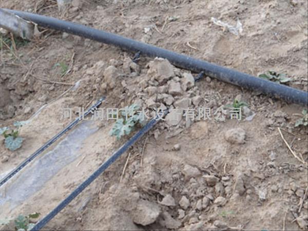山西长治县大棚蔬菜PE滴水带低成本 质量优 高产量