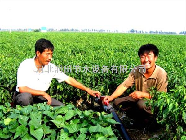 山西长治县大棚蔬菜PE滴水带低成本 质量优 高产量