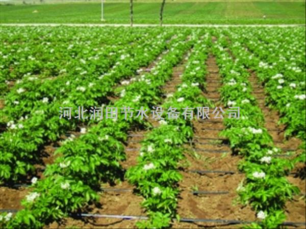 山西平顺县厂家长期批发|促销 农用滴水带 PE管