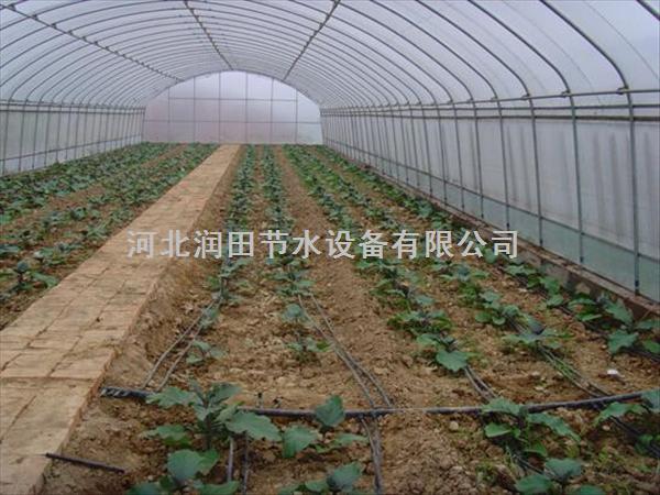 河北石家庄大田滴灌带|PE软管材质价格|PE软管型号规格