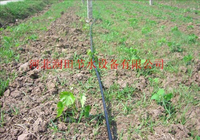 温室大棚蔬菜滴灌 厂家直供湖南多型号滴灌管