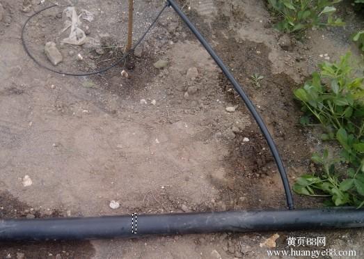 成都市果树专用滴灌厂家|水量分布均匀