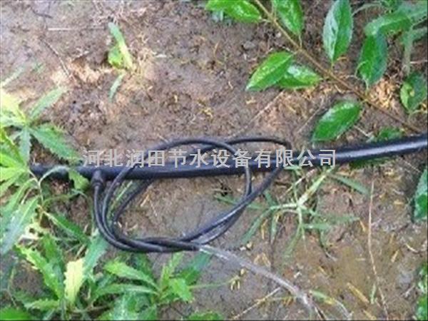 成都市果树专用滴灌厂家|安装维护方便