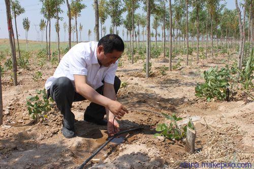 攀枝花市园林绿化滴管厂家|抗老化耐磨