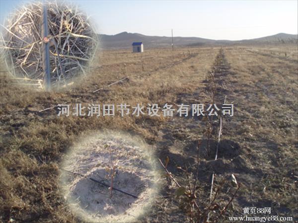 黑色果园滴灌管为你专门订制--攀枝花市供应