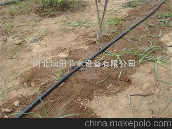 泸州市果树滴水毛管|滴灌厂家节水新工具