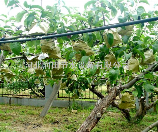 绵阳市农家专用机械|果树滴水毛管