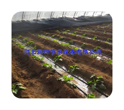 宜昌市农田重力滴灌管专用节水设备