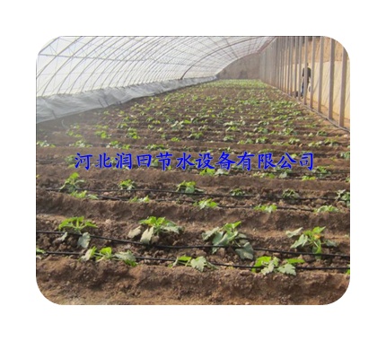 孝感市云梦县蔬菜滴灌|花卉滴灌设备新价格