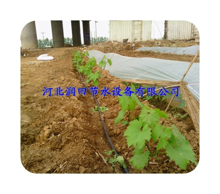 灌溉黑管质量保证--孝感市大悟县供应