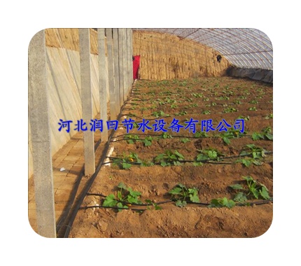 花卉滴灌质量保证--孝感市大悟县供应
