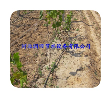 荆州市公安县供应农用设备|蔬菜滴灌|节省化肥农药