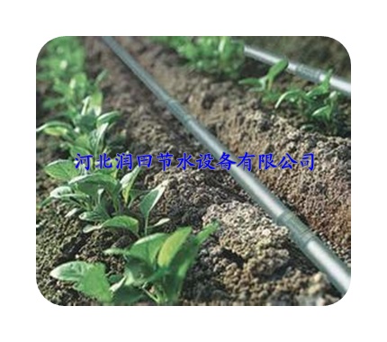 荆州市公安县农艺节水PE滴灌管|灌溉黑管
