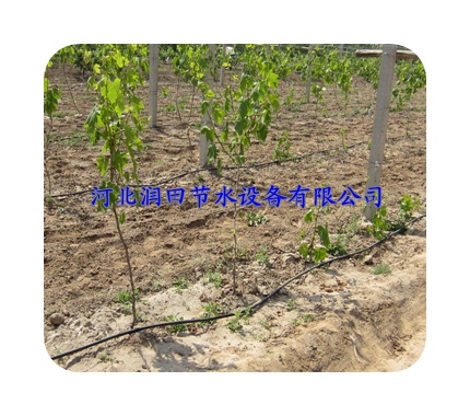 荆州市公安县农家专用机械|重力滴灌管