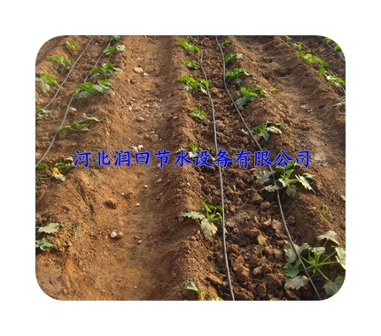 荆州市江陵县纯新料,抗老化灌溉黑管