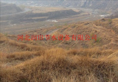 广西葡萄果园灌溉/果树滴管/品牌产品