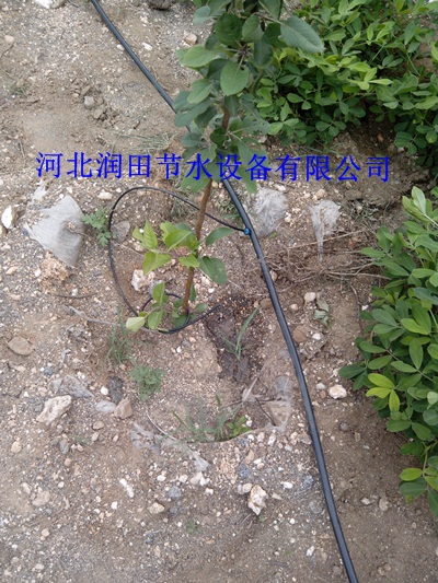 生产厂家_湖南PE管_优质果园滴灌设备批发