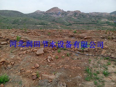 湖南杨梅果园灌溉PE管_工程设施安装