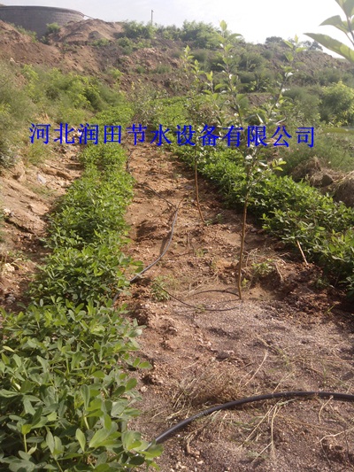 各种管件管材生产厂家 湖南果树滴灌PE管