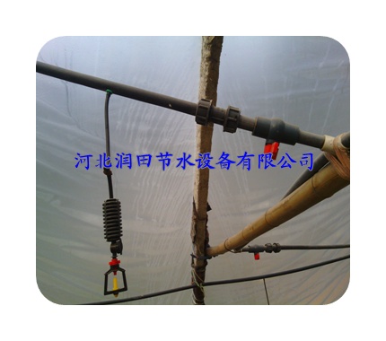 衡水饶阳县省心采用十字微喷头|地插微喷