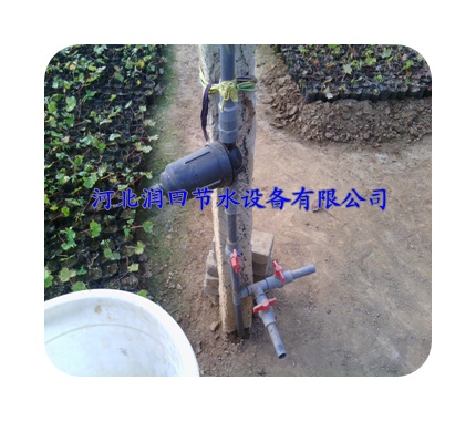 沧州市南皮县大棚地插微喷|网式过滤器等你挑选