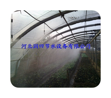 蔬菜微喷头质量保证--保定供应