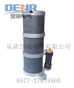 供应RXQ-35D,RXQ-20D一次消谐器,RXQ-35D,RXQ-20D一次消谐器量大从优