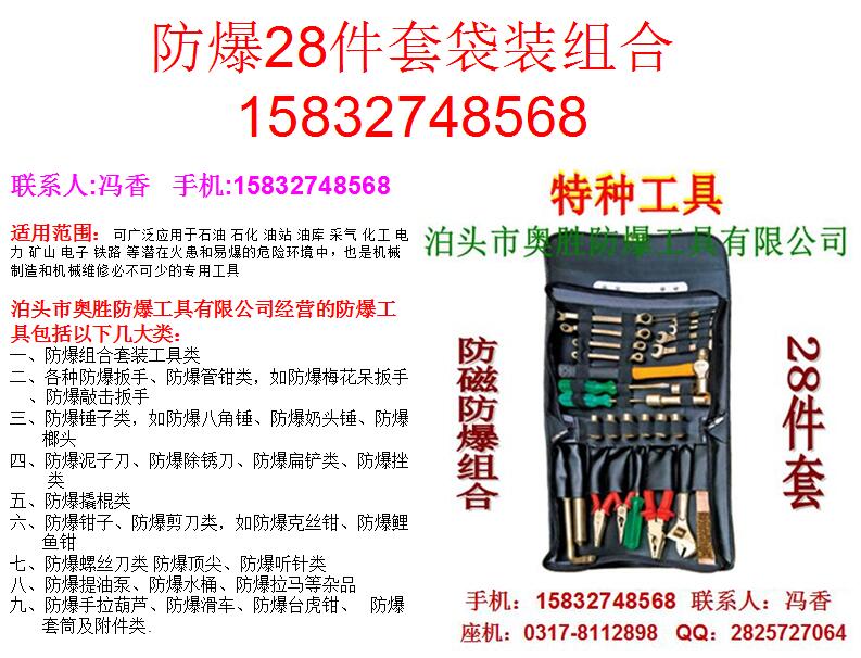 胜防EX-ASZHDZ28/79防爆28/10/17/28/39/46/50件套袋装组合工具