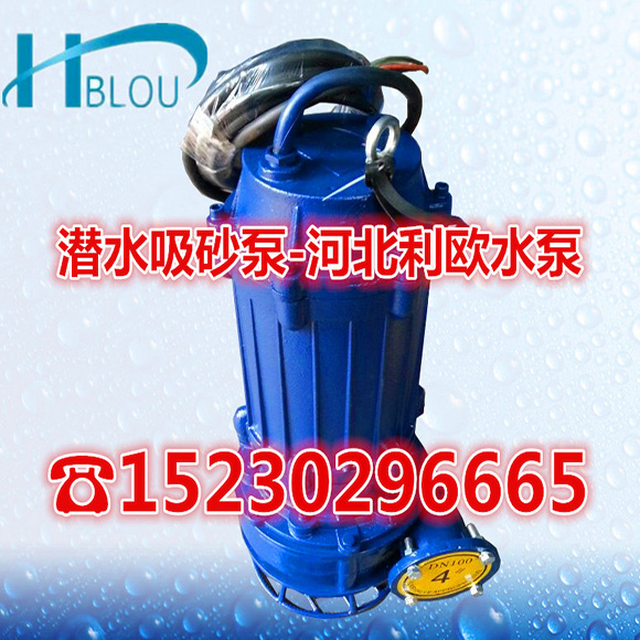 NSQ潜水抽砂泵潜水吸砂泵NSQ25-40-15船用排沙抽砂泵矿用采砂泵渣浆泵潜水吸沙泵自带搅拌砂浆泵