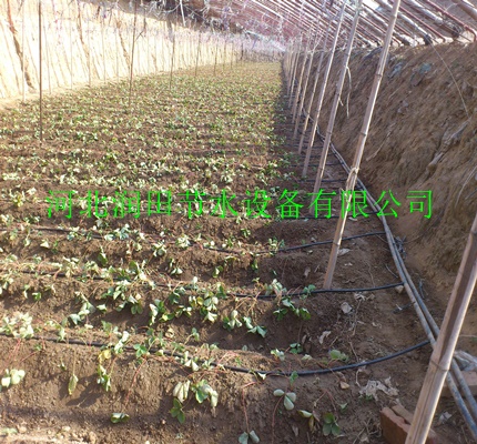 长治市纯新料内镶滴灌管|圆柱滴灌管规格齐全