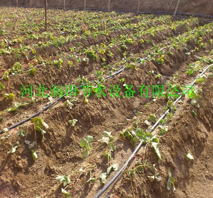 太原市塑料内镶滴灌管 自动浇水器|安全可靠