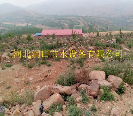 延安市苗木专用离心网式过滤器 自动浇水系统