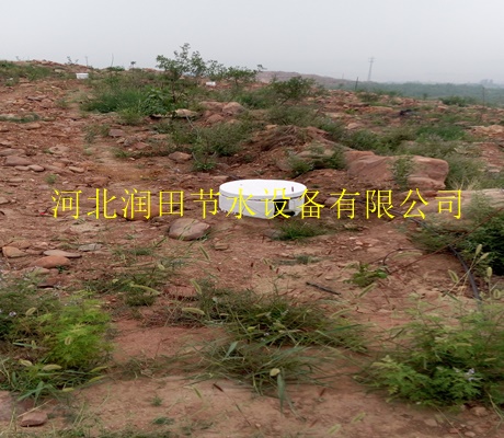 品牌企业生产|延安市离心网式过滤器 使用放心