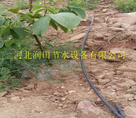 延安市高质量果树滴灌滴头|专卖优质离心网式过滤器