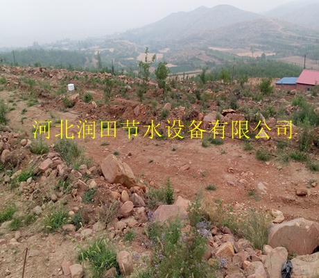 延安市厂价直销离心网式过滤器|自产自销塑料灌溉PE管