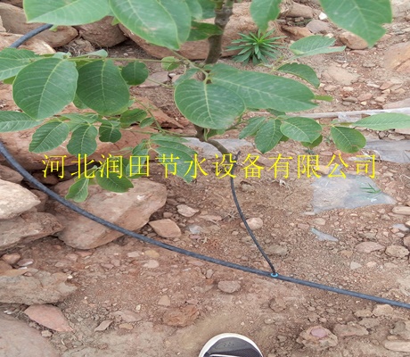 延安市延长县苗圃16mmPE管 正规厂家生产