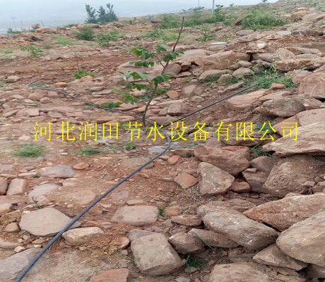 选择铜川市离心网式过滤器 知名品牌/值得信赖