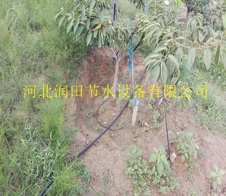 宝鸡市厂家经营塑料灌溉PE管优质果树滴灌滴头