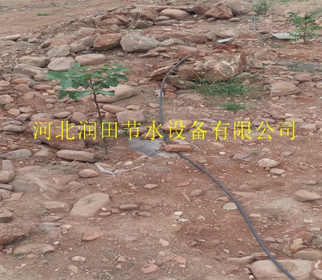 宝鸡市塑料灌溉PE管 自动浇水器|安全可靠