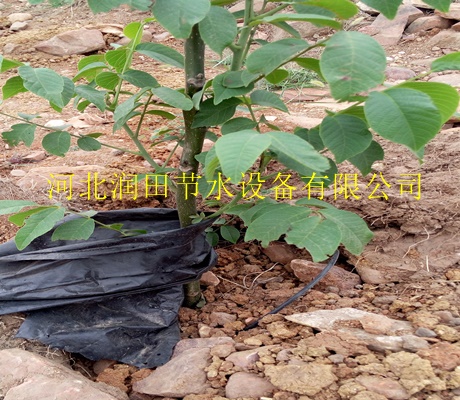 宝鸡市滴灌设备价目表-优质离心网式过滤器报价