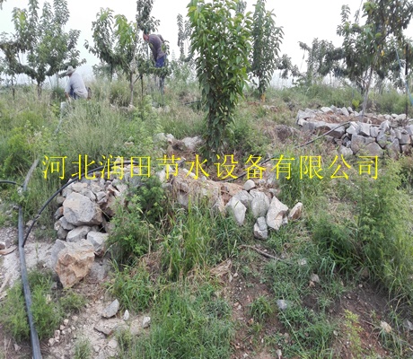 宝鸡市塑料灌溉PE管|离心网式过滤器品种多样