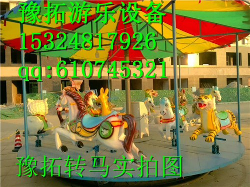 儿童简易转马图片 简易转马厂家