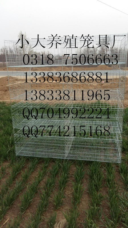供应鸡鸽兔笼，狐狸笼，貉笼，鹌鹑笼，宠物笼及饮水器,食盒