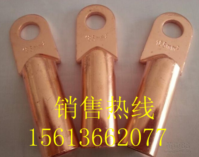 国标铜接线端子实物图片