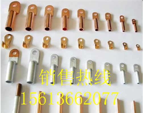  订制各种型号堵油、双孔型铜接线端子